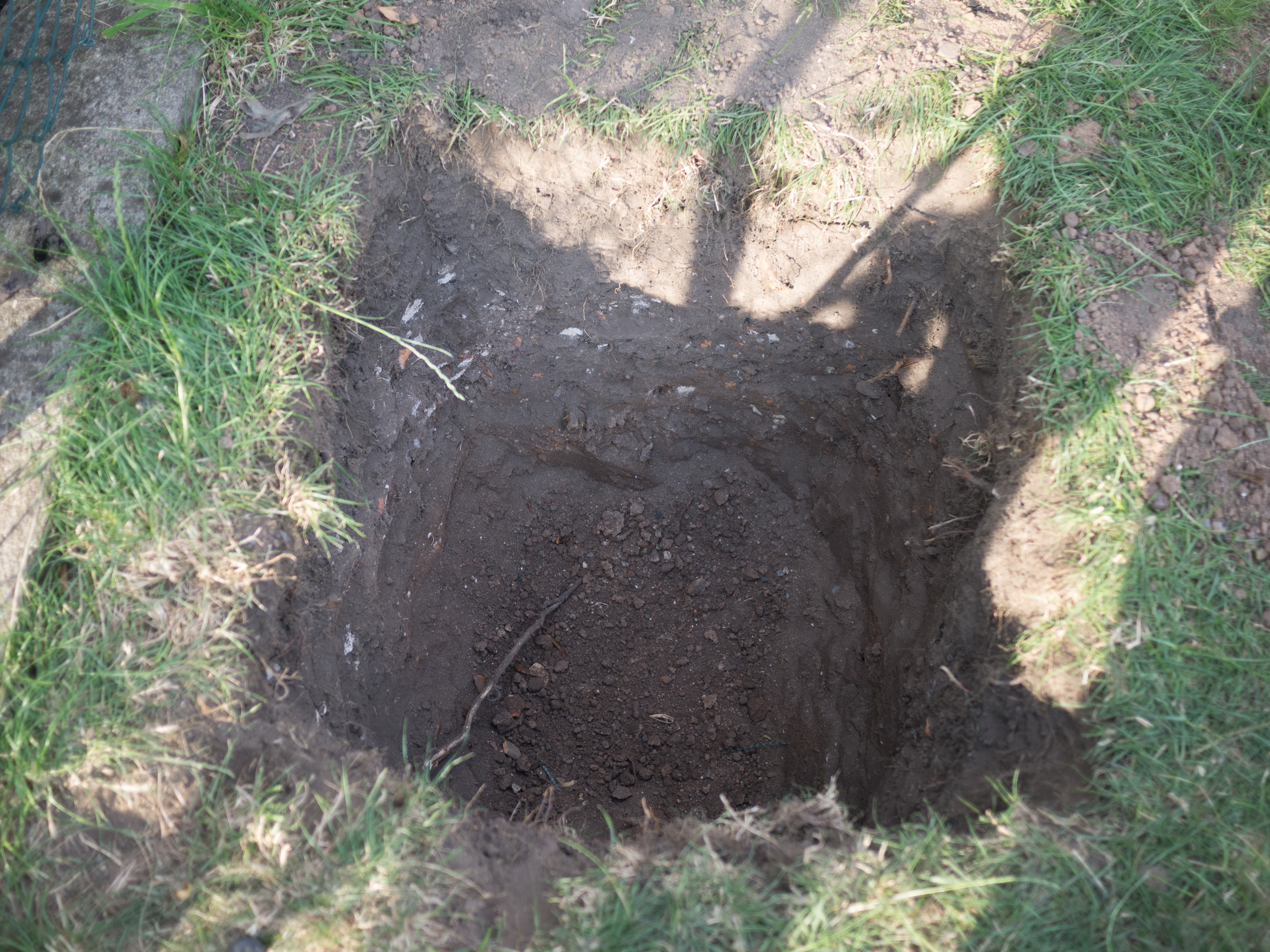 20160726 Schaukel 009